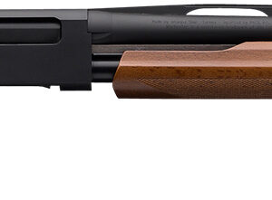 Winchester Repeating Arms 512367302 SXP Field Youth 12 Gauge 20" 4+1 3" Matte Black Rec/Barrel Satin Walnut Stock Right Hand Includes 3 Invector-Plus Chokes