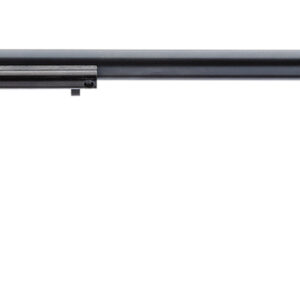 Heritage Mfg RR22B16AS Rough Rider  22 LR 6 Shot, 16" Black Steel Barrel, Black Zinc Alloy Frame, Black Cylinder, Cocobolo Grip, Hammer/Thumb Safety, Exposed Hammer