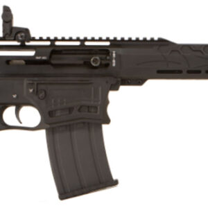 Citadel CBOSS2512 Boss25  12 Gauge Semi-Auto 3" 5+1 18.75" Black Steel Threaded Barrel, Black Picatinny Rail Aluminum Receiver, Picatinny Handguards, Black Adj Cheek Riser Synthetic Stock