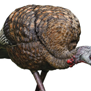 Avian X AVXAVX8007 LCD Feeder Hen Turkey Species Multi Color Dura-Rubber