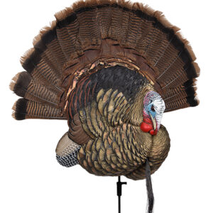 Avian X AVXAVX8021 Trophy Tom  Turkey Species Multi-Color *No Fan