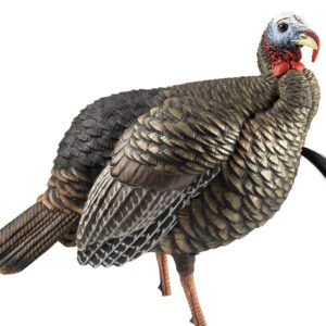 Avian X AVXAVX8105 HDR Jake Turkey Decoy Multi Color