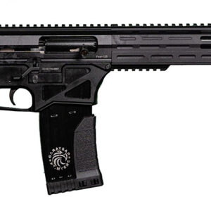 Garaysar Ft. Myers FEAR125 FEAR-125  AR-Style 12 Gauge 5+1 20" 4140 Steel Barrel, Overall Black Finish, Synthetic Stock & Polymer Grip Includes Hard Case & Magazines