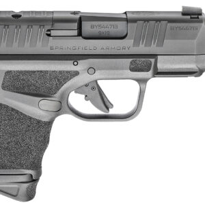 Springfield Armory HC9389BTOSP Hellcat Micro-Compact RDP 9mm Luger 13+1/11+1 3.80" Threaded/Compensated Barrel, Black Polymer Frame w/Picatinny Acc. Rail & Adaptive Grip Texture, Optic Ready Slide