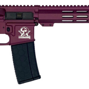 Great Lakes Firearms GL15223SSCHY AR-15  223 Wylde 16" Stainless 30+1, Black Cherry Rec, Black Stock & Grip