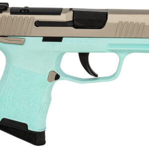 SIG 365380REBMS         P365 380 XR3MS 3.1 10R TRQ