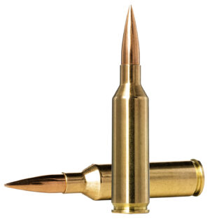 Norma Ammunition 10166462 Dedicated Precision Golden Target Match 6.5PRC 143gr Hollow Point Boat Tail 20 Per Box/10 Case
