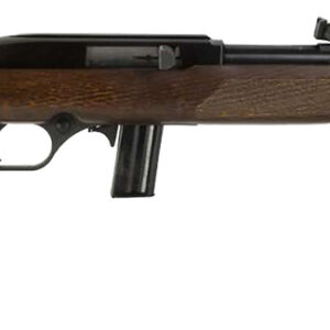 Rossi RS22L1811WD RS22  Full Size 22 LR 10+1 18" Matte Black Steel Barrel, Matte Black Receiver, Fixed Hardwood Stock