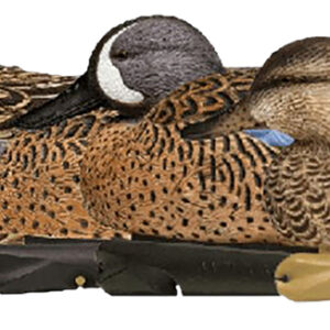 Avian X AVXAVX8080 Topflight  Blue-Winged Floating Teal Decoys Multi-Colored-6 Pack