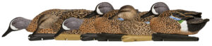 Avian X AVXAVX8080 Topflight Blue-Winged Floating Teal Decoys Multi-Colored-6 Pack