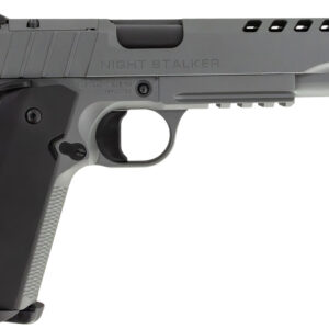 Tisas 10100558 1911 Night Stalker SF 10mm Auto 8+1, 5" Black Steel Threaded Barrel, Platinum Gray Cerakote Serrated w/Slide Cuts Steel Slide & Steel Frame w/Beavertail & Picatinny Rail, Ambidextrous