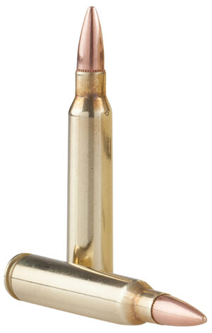 TR&Z PPRM5561P  Range Master 5.56x45mm NATO 55 gr Full Metal Jacket Boat Tail 125 Per Box/ 4 Case