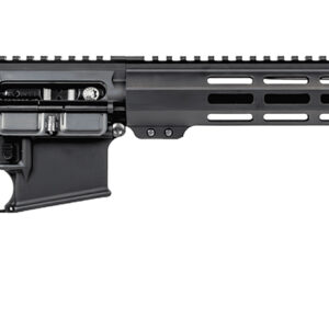 Battle Arms Development WORKHORSE-LT Workhorse LT 223 Rem/5.56 NATO 30+1 16" Black 223 Wylde Barrel Black 7" M-LOK Handguard A2 Mil-Spec Grip