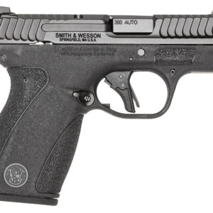 Smith & Wesson 13927 Bodyguard 2.0 Micro Frame 380 ACP 12+1 2.75" Black Armornite Stainless Steel Barrel, Black Armornite Serrated Stainless Steel Slide, Black Polymer Frame, Textured Grip