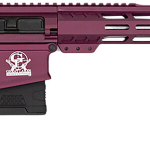 Great Lakes Firearms GL10308SSCHY GLFA  308 Win 10+1 18" AR-10 Stainless Steel Black Cherry