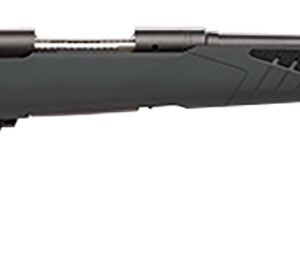 Savage Arms 57062 110 Hunter Full Size 204 Ruger 4+1 22" Matte Black Button-Rifled Barrel, Matte Black Drilled & Tapped Carbon Steel Receiver, Adj AccuStock Matte Gray Synthetic Stock, Right Hand
