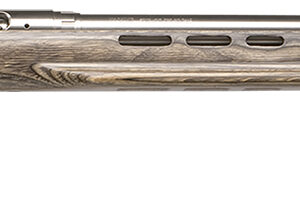 Savage Arms 18614 12 Benchrest Full Size 6mm BR 1rd 29" Matte Stainless Button Rifled Barrel &  Drilled & Tapped Receiver, Gray Fixed Laminate Stock, Right Hand