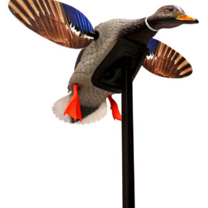 Mojo Outdoors HW24703P Elite Series Mini Mallard Drake Species Multi Color Plastic