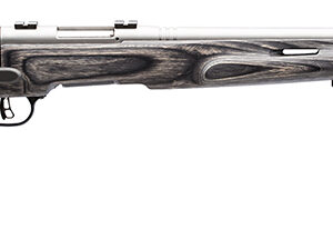 Savage Arms 96972 B.MAG Target Full Size 17 WSM 8+1 22" Matte Stainless Heavy Barrel, Matte Drilled & Tapped Stainless Steel Receiver, Matte Gray Thumbhole Laminate Stock, Right Hand