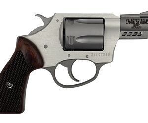 CHARTER ARMS CYTE 380ACP 2" 5RD STS