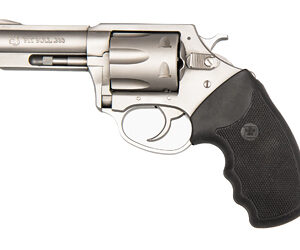 CHARTER ARMS PITBULL 380ACP 3" STS