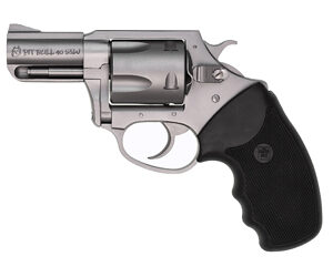 CHARTER ARMS PITBULL 40S&W 2.3" SS