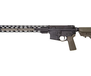 RADICAL 300BLK 16" 30RD BLK/ODG