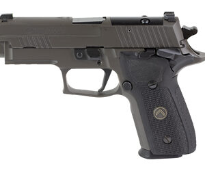 SIG P229 LEGION 9MM 3.9" 10RD GRY SA