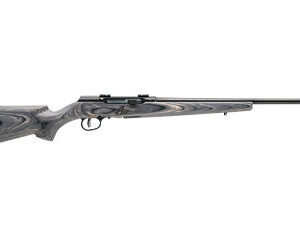 SAV A17 TARGET 17HMR 22" 10RD BL/LAM