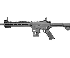 S&W M&P15-22 22LR 16 10RD BK FXD/CMP