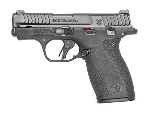 S&W M&P BDYGRD 2.0 380ACP 10RD TS