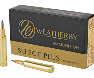 WBY AMMO 257WBY 100GR TTSX 20/200