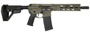 DIA DB1984B101 300BO DB15 10 30R*BRACE* ODG
